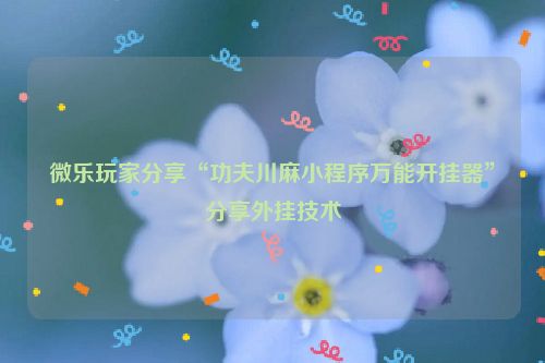微乐玩家分享“功夫川麻小程序万能开挂器”分享外挂技术