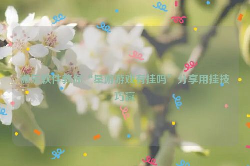 微乐软件教你“星游游戏有挂吗”分享用挂技巧赢