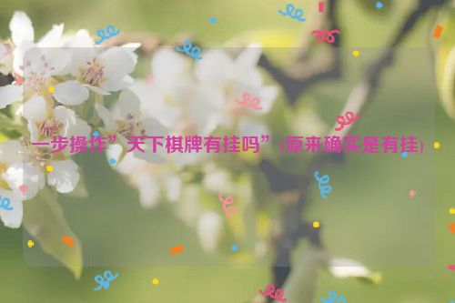 一步操作”天下棋牌有挂吗”(原来确实是有挂)