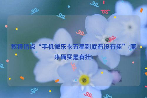 教程指点“手机微乐卡五星到底有没有挂”(原来确实是有挂)