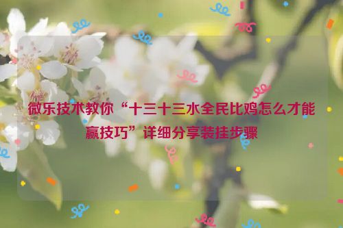 微乐技术教你“十三十三水全民比鸡怎么才能赢技巧”详细分享装挂步骤
