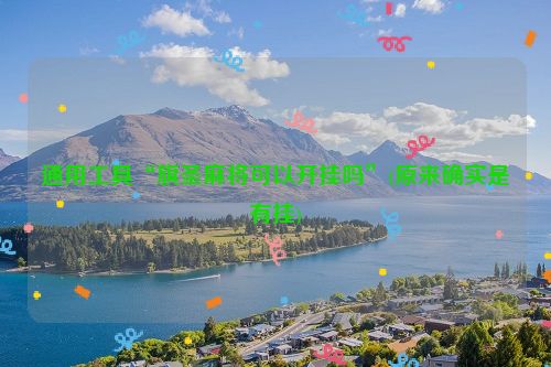 通用工具“旗圣麻将可以开挂吗”(原来确实是有挂)