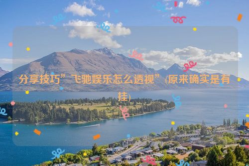 分享技巧”飞驰娱乐怎么透视”(原来确实是有挂)