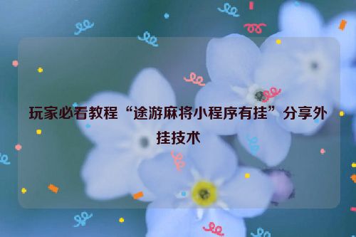 玩家必看教程“途游麻将小程序有挂”分享外挂技术