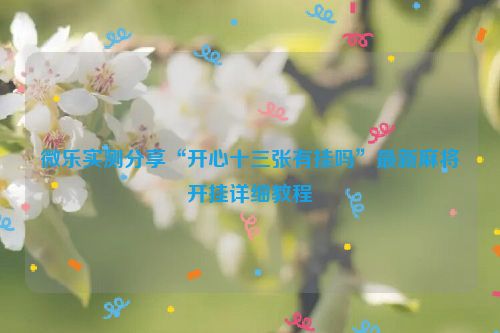 微乐实测分享“开心十三张有挂吗”最新麻将开挂详细教程