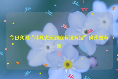 今日实测“非凡贪玩到底有没有挂”确实是有挂