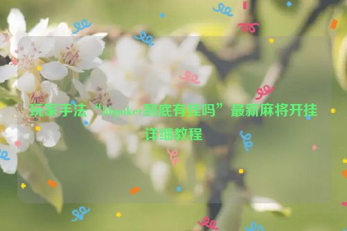 玩家手法“hhpoker到底有挂吗”最新麻将开挂详细教程