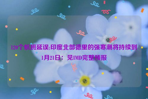 120个航班延误;印度北部德里的强寒潮将持续到1月21日：见IMD完整预报