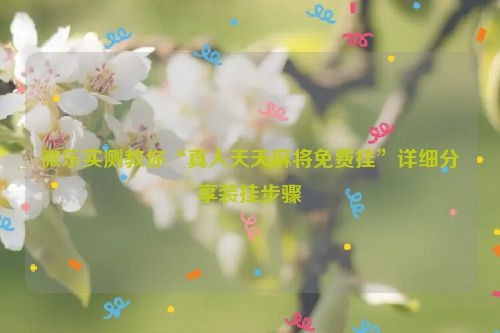 微乐实测教你“真人天天麻将免费挂”详细分享装挂步骤