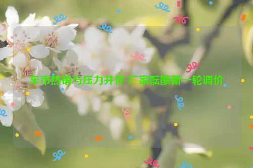 车市热销与压力并存 厂家酝酿新一轮调价
