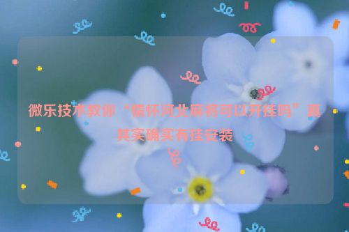 微乐技术教你“情怀河北麻将可以开挂吗”真其实确实有挂安装