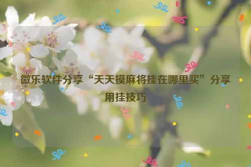 微乐软件分享“天天摸麻将挂在哪里买”分享用挂技巧