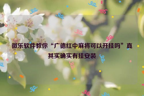 微乐软件教你“广德红中麻将可以开挂吗”真其实确实有挂安装