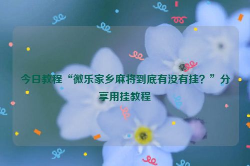 今日教程“微乐家乡麻将到底有没有挂？”分享用挂教程