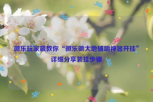 微乐玩家赢教你“微乐锄大地辅助神器开挂”详细分享装挂步骤