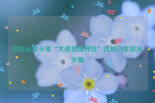微乐玩家分享“大熊竞技开挂”详细分享装挂步骤