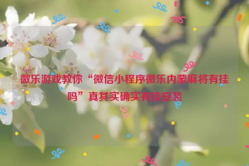 微乐游戏教你“微信小程序微乐内蒙麻将有挂吗”真其实确实有挂安装