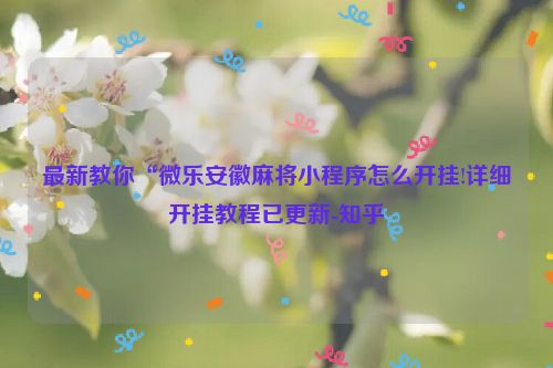 最新教你“微乐安徽麻将小程序怎么开挂!详细开挂教程已更新-知乎