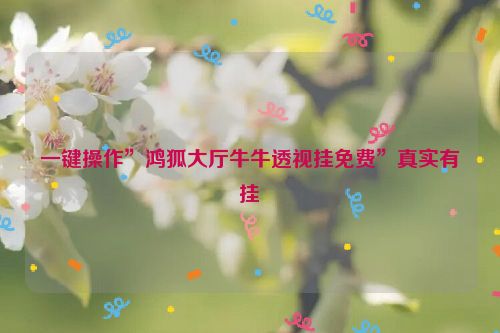 一键操作”鸿狐大厅牛牛透视挂免费”真实有挂