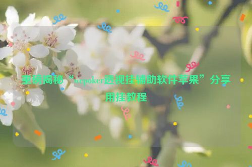 重磅揭秘“wepoker透视挂辅助软件苹果”分享用挂教程