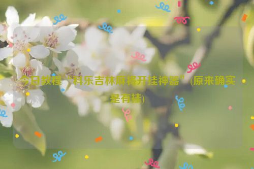 今日教程“科乐吉林麻将开挂神器”(原来确实是有挂)