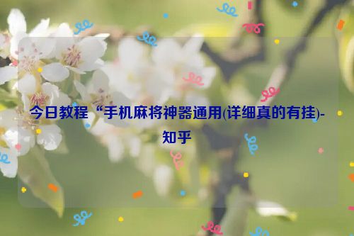 今日教程“手机麻将神器通用(详细真的有挂)-知乎