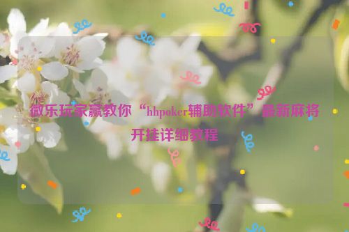 微乐玩家赢教你“hhpoker辅助软件”最新麻将开挂详细教程