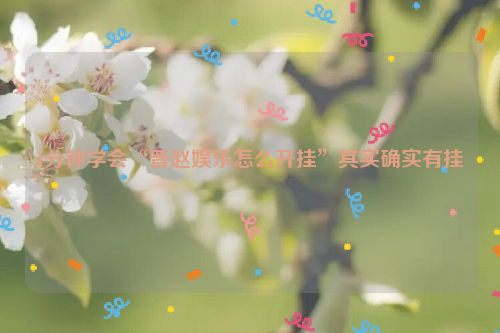 1分钟学会“晋赵娱乐怎么开挂”其实确实有挂