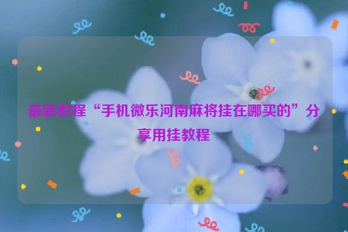 最新教程“手机微乐河南麻将挂在哪买的”分享用挂教程