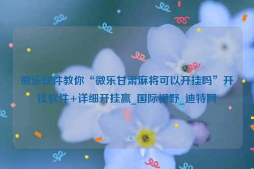 微乐软件教你“微乐甘肃麻将可以开挂吗”开挂软件+详细开挂赢_国际视野_迪特网