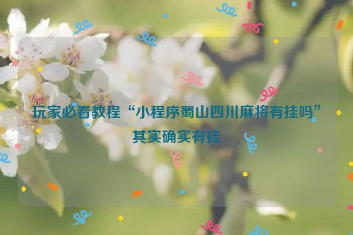玩家必看教程“小程序蜀山四川麻将有挂吗”其实确实有挂
