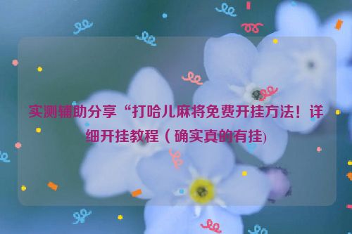 实测辅助分享“打哈儿麻将免费开挂方法！详细开挂教程（确实真的有挂)