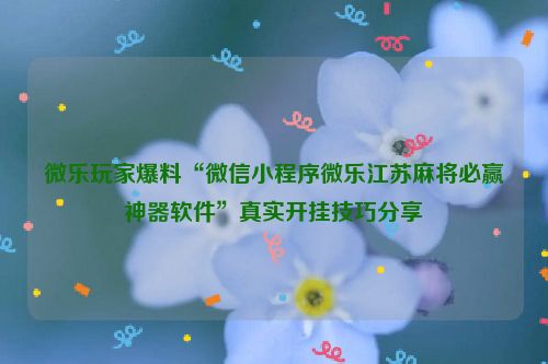 微乐玩家爆料“微信小程序微乐江苏麻将必赢神器软件”真实开挂技巧分享