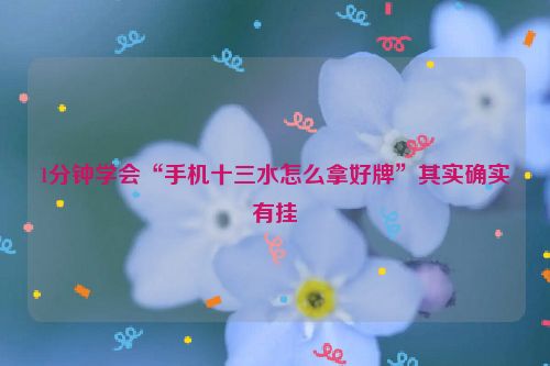 1分钟学会“手机十三水怎么拿好牌”其实确实有挂