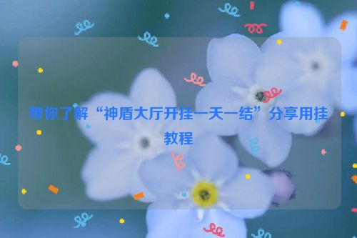 带你了解“神盾大厅开挂一天一结”分享用挂教程