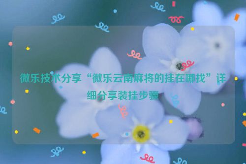 微乐技术分享“微乐云南麻将的挂在哪找”详细分享装挂步骤