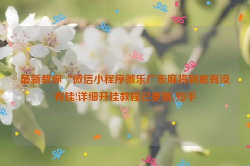 最新教你“微信小程序微乐广东麻将到底有没有挂!详细开挂教程已更新-知乎