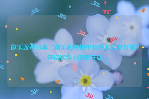 微乐游戏分享“微乐跑得快小程序怎么拿好牌”开挂软件+详细开挂