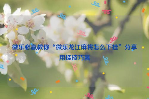 微乐必赢教你“微乐龙江麻将怎么下挂”分享用挂技巧赢