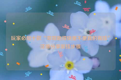 玩家必知十款“哥哥跑得快是不是真的有挂”详细分享装挂步骤