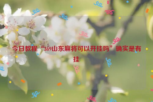 今日教程“369山东麻将可以开挂吗”确实是有挂