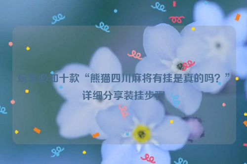 玩家必知十款“熊猫四川麻将有挂是真的吗？”详细分享装挂步骤