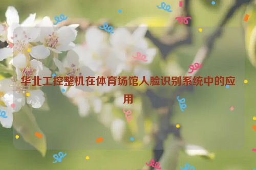 华北工控整机在体育场馆人脸识别系统中的应用