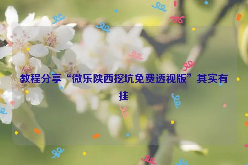 教程分享“微乐陕西挖坑免费透视版”其实有挂