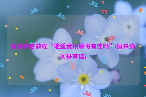 玩家必看教程“地道贵州麻将有挂吗”(原来确实是有挂)
