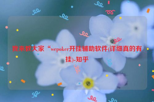 我来教大家“wepoker开挂辅助软件(详细真的有挂)-知乎