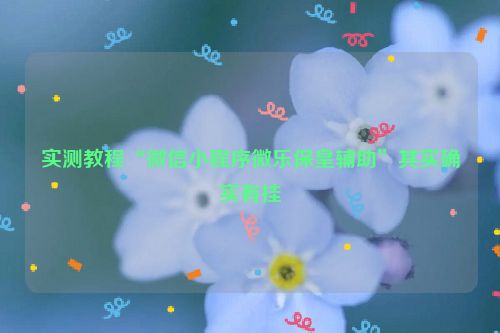 实测教程“微信小程序微乐保皇辅助”其实确实有挂
