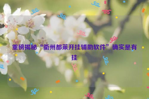重磅揭秘“衢州都莱开挂辅助软件”确实是有挂