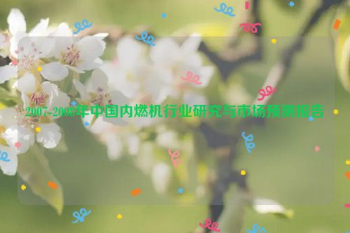 2007-2008年中国内燃机行业研究与市场预测报告