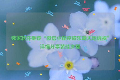 独家软件推荐“微信小程序微乐锄大地透视”详细分享装挂步骤